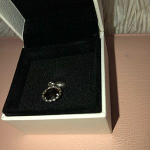 PANDORA Autumn Breeze Charm (Authentic)